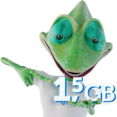1,5 GB