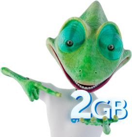 2 GB